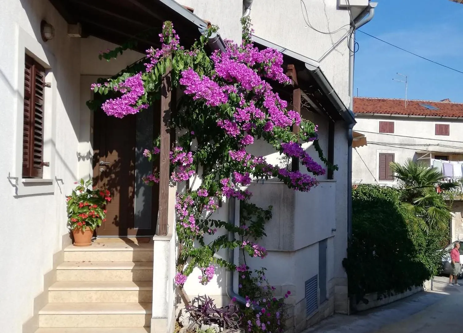 Apartments Renata - Brseč